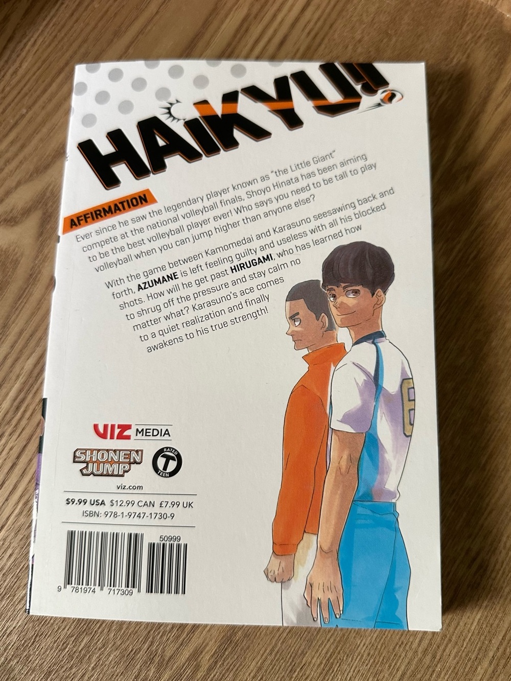 Haikyu!! / Haikyuu Volumes 38-40 Manga by Haruichi Furudate - Orange & White - Picture 11 of 13